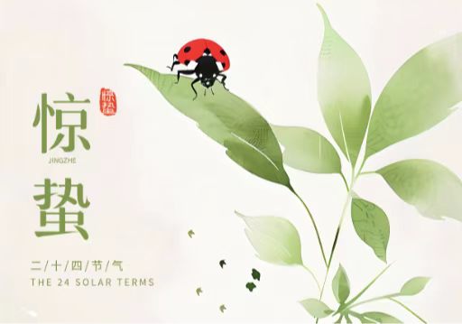 中思咨询|一雷惊蛰，马踏新枝